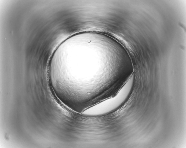 X0000093161375200710241011