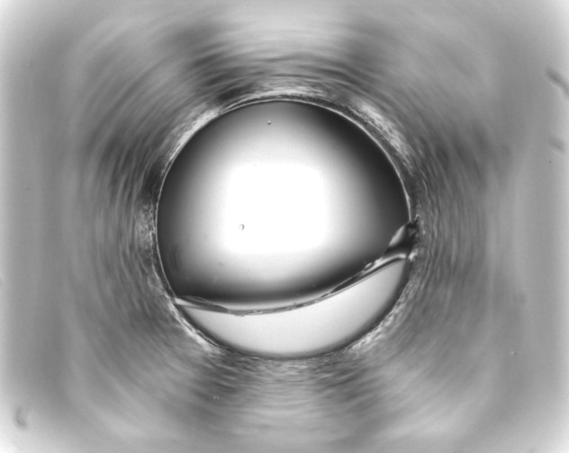 X0000093161377200710241011