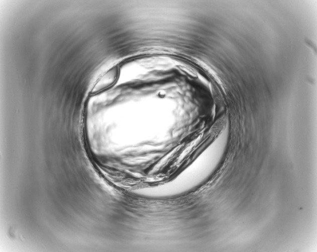 X0000093161379200710241011