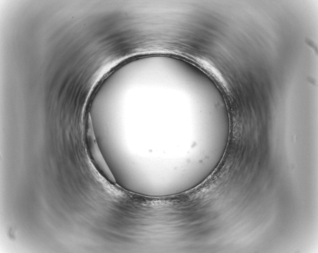 X0000093161380200710241011