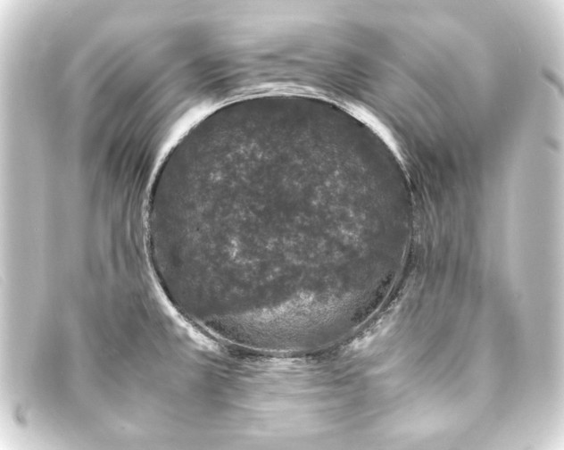 X0000093161381200710241011