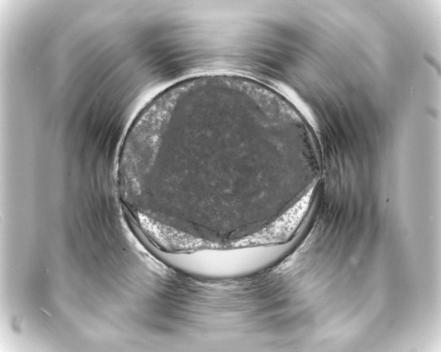 X0000093161388200710241011