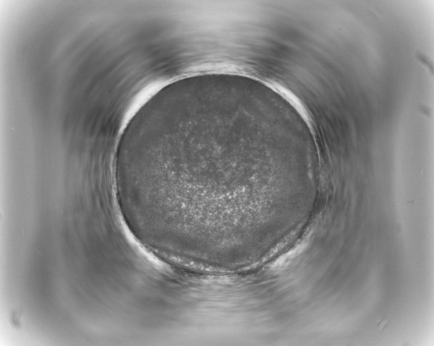 X0000093161389200710241011