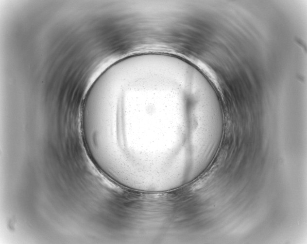 X0000093161390200710241011