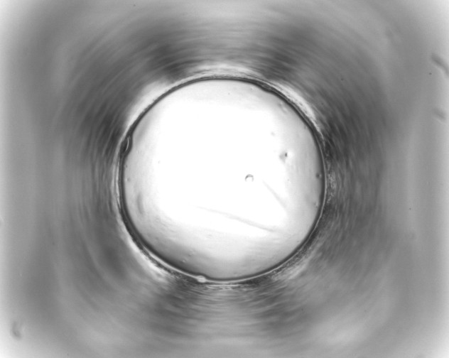 X0000093161391200710241011