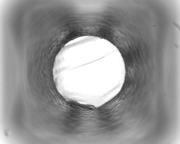 X0000093161393200710241011