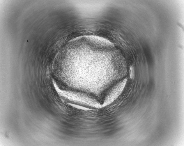 X0000093161395200710241011