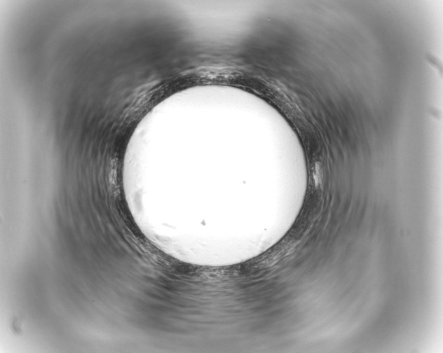 X0000093161396200710241011