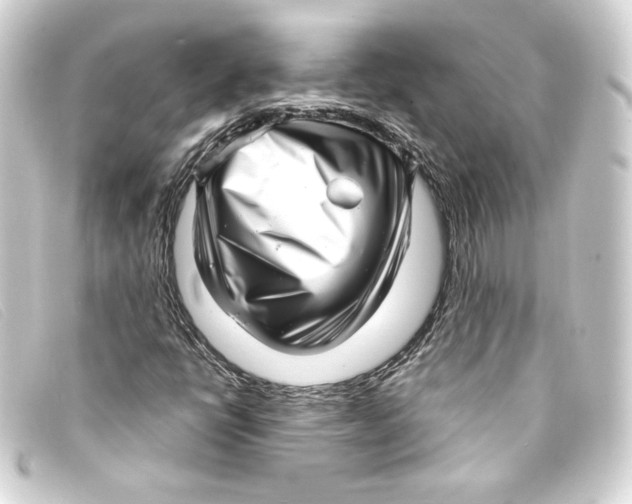 X0000093161398200710241011