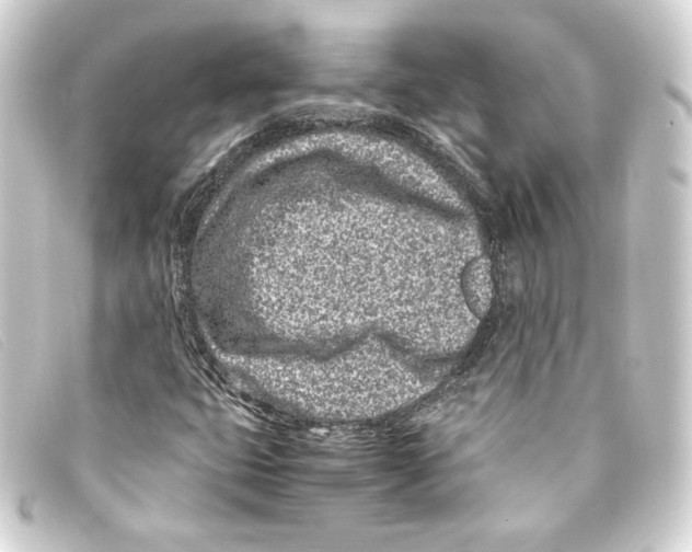 X0000093161399200710241011