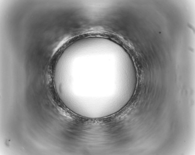 X0000093161400200710241011