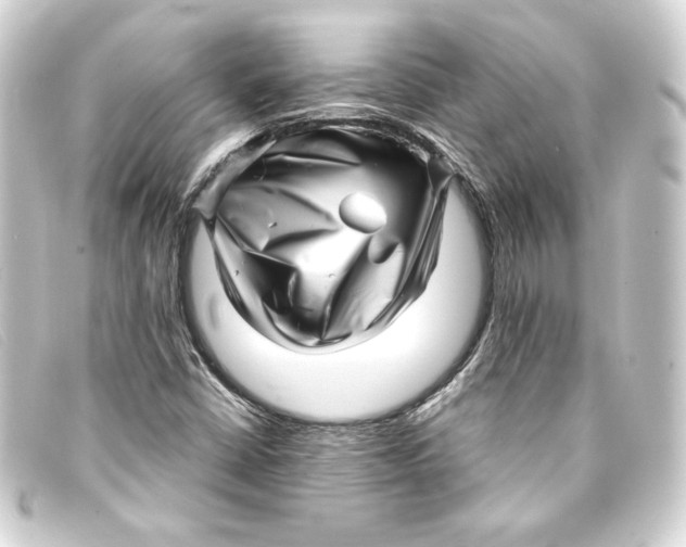 X0000093161402200710241011