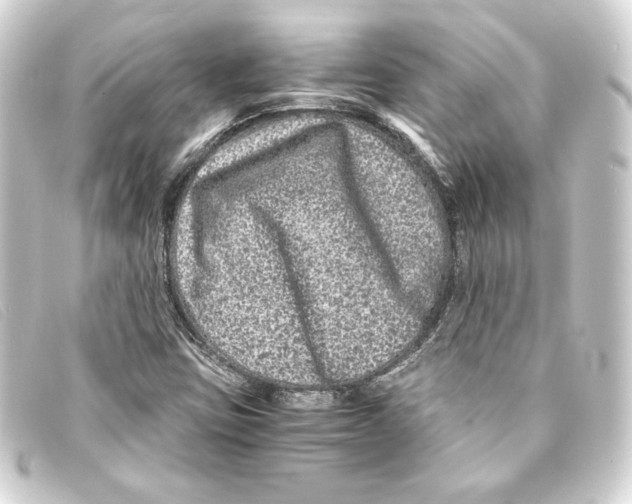 X0000093161403200710241011