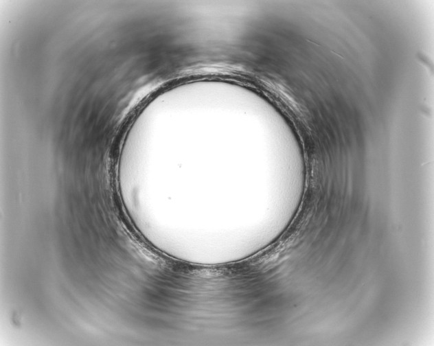 X0000093161404200710241011