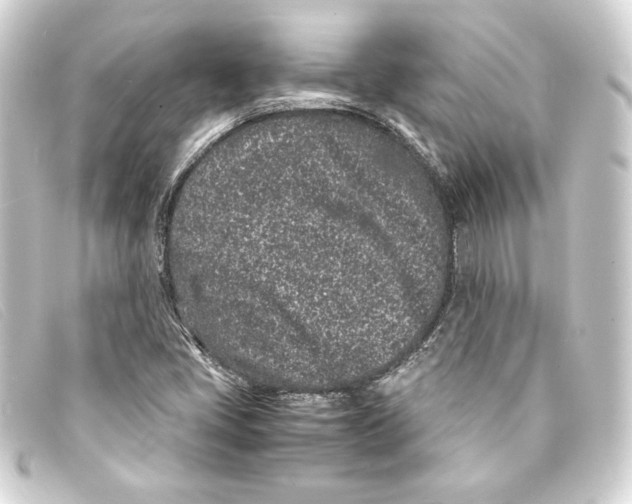 X0000093161405200710241011