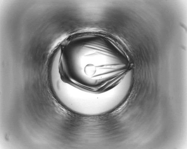 X0000093161406200710241011