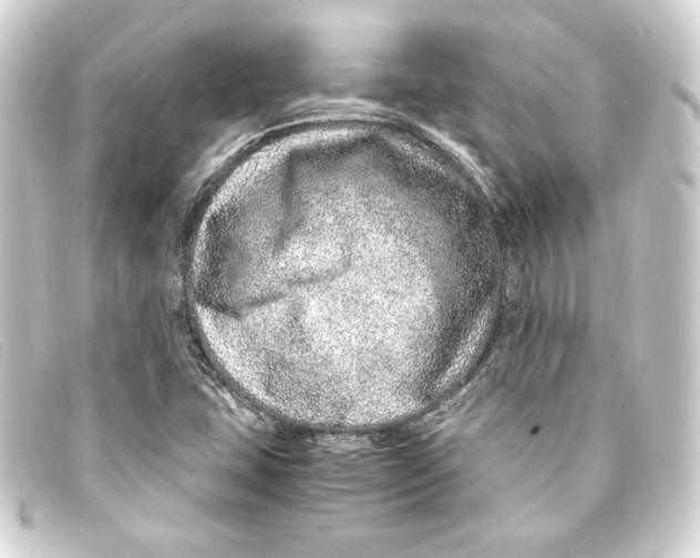 X0000093161407200710241011