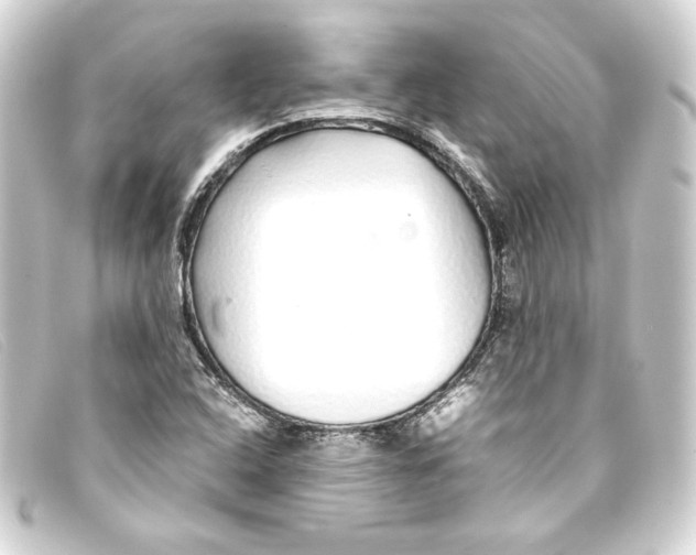 X0000093161408200710241011