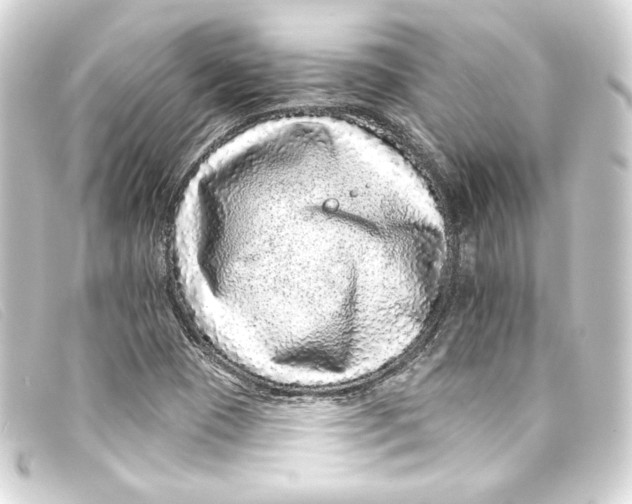 X0000093161409200710241011