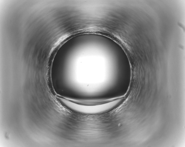 X0000093161410200710241011