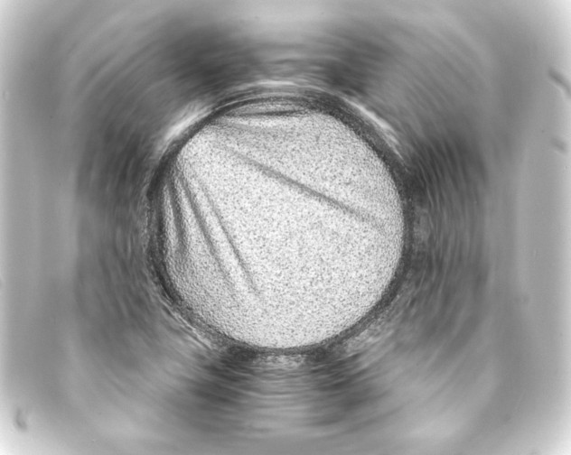 X0000093161411200710241011