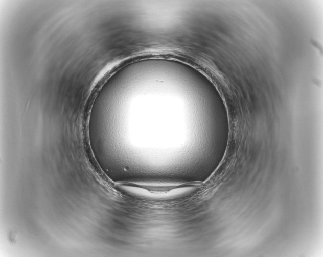 X0000093161412200710241011