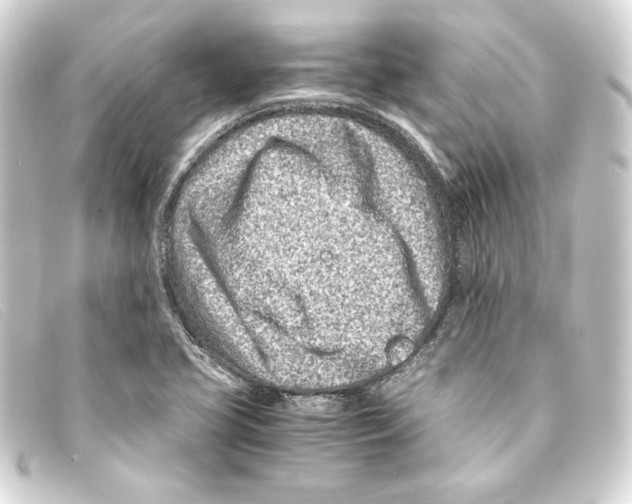 X0000093161413200710241011