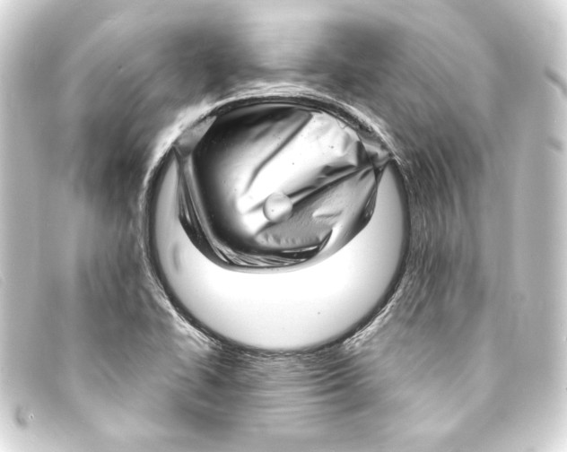 X0000093161414200710241011