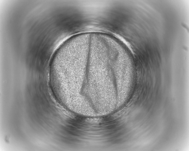 X0000093161415200710241011