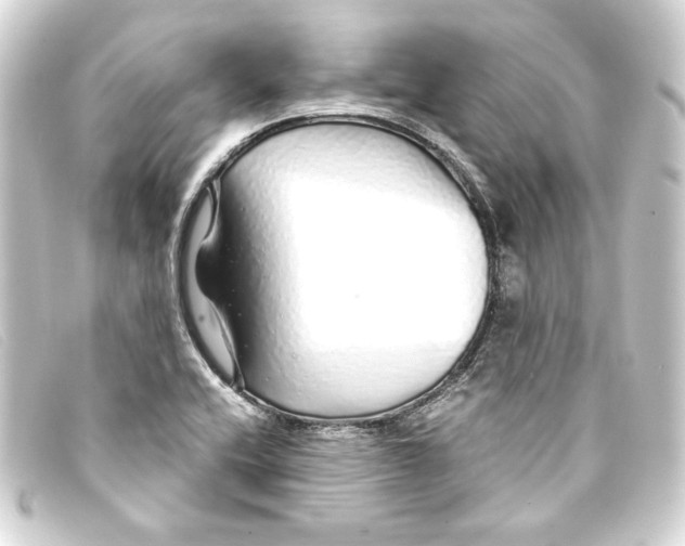 X0000093161416200710241011