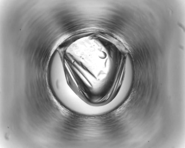 X0000093161418200710241011