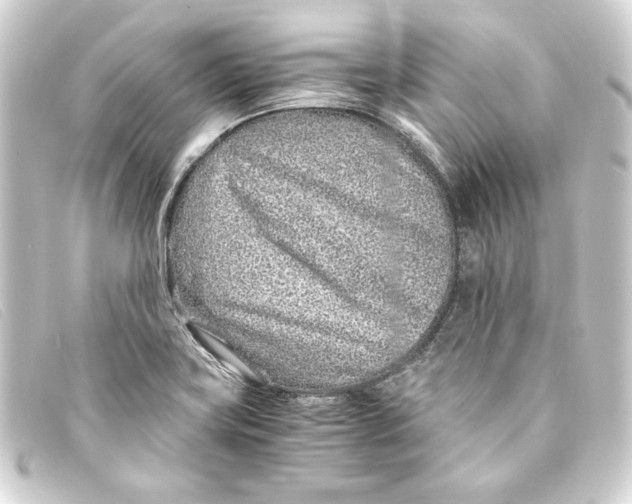 X0000093161419200710241011
