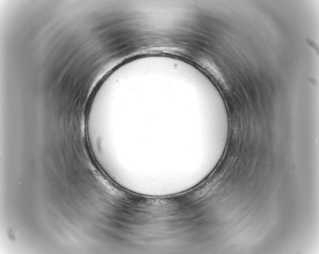 X0000093161420200710241011