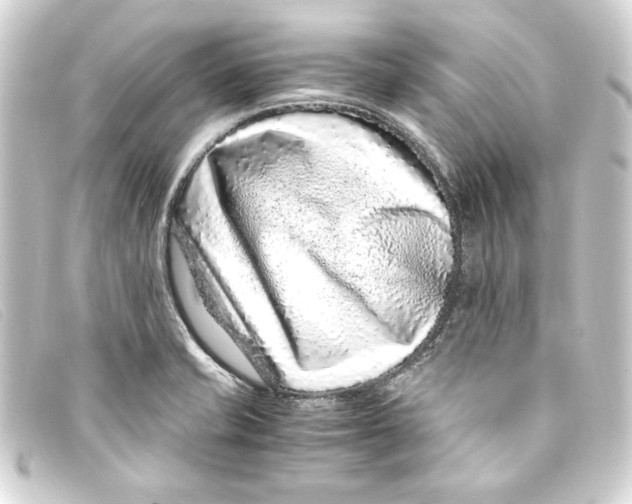 X0000093161421200710241011