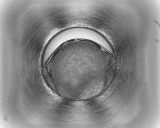 X0000093161422200710241011