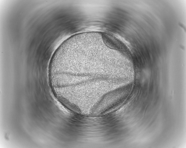 X0000093161423200710241011