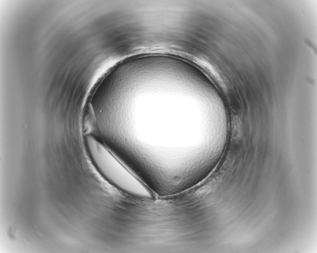 X0000093161424200710241011