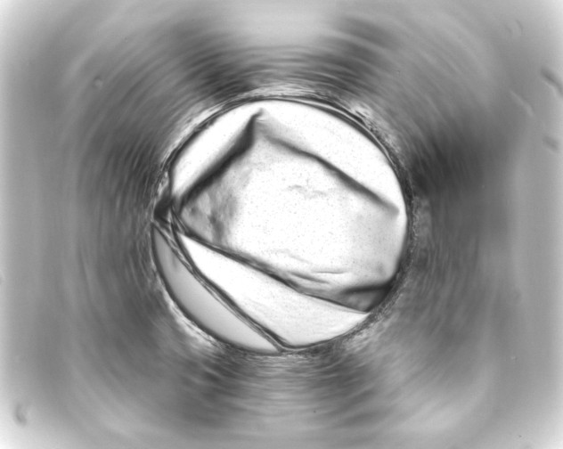 X0000093161425200710241011