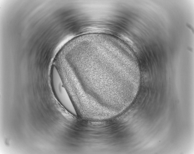X0000093161427200710241011