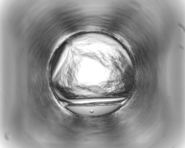 X0000093161429200710241011