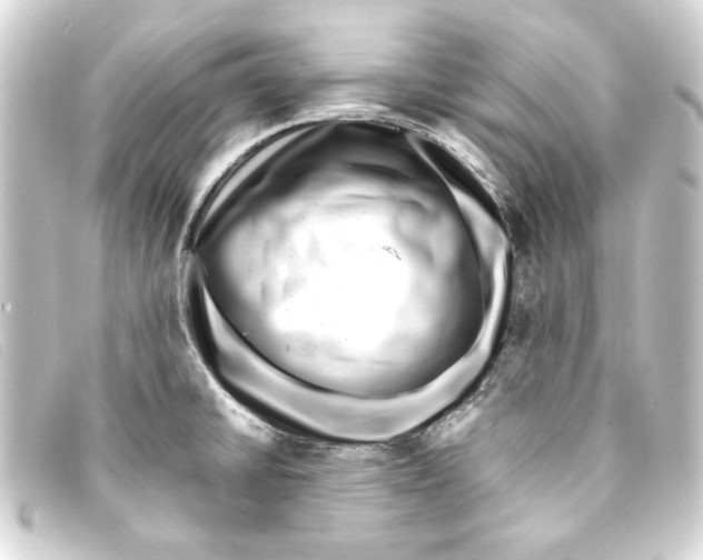 X0000093161430200710241011
