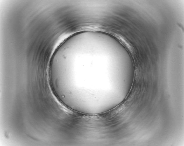 X0000093161432200710241011