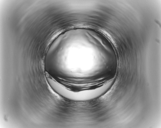 X0000093161433200710241011