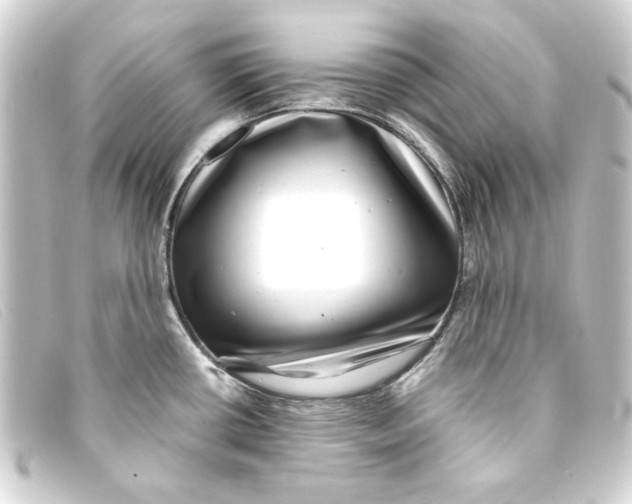 X0000093161434200710241011