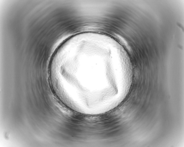 X0000093161435200710241011