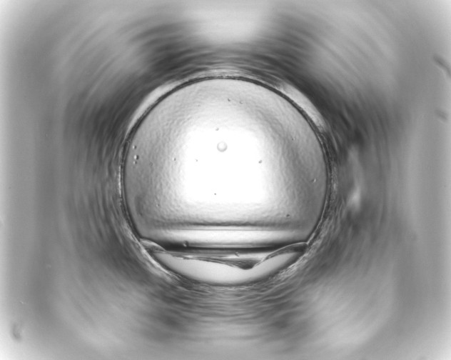 X0000093161436200710241011