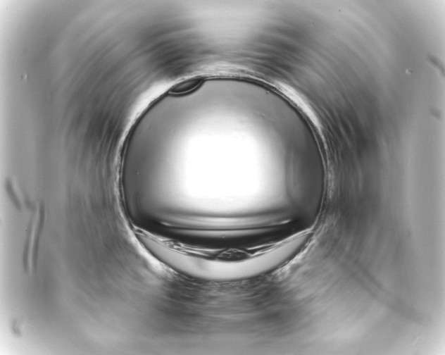 X0000093161437200710241011