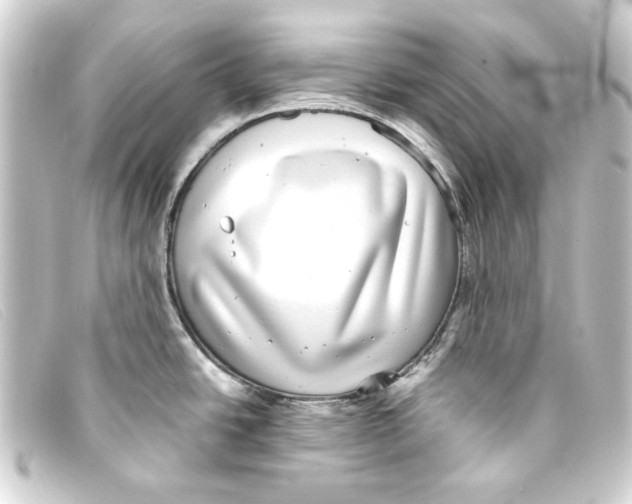 X0000093161438200710241011