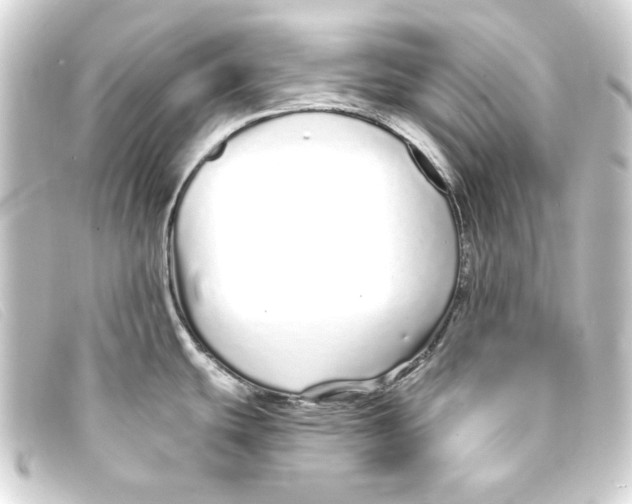 X0000093161439200710241011