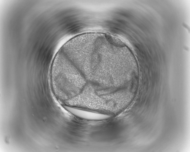 X0000093161440200710241011